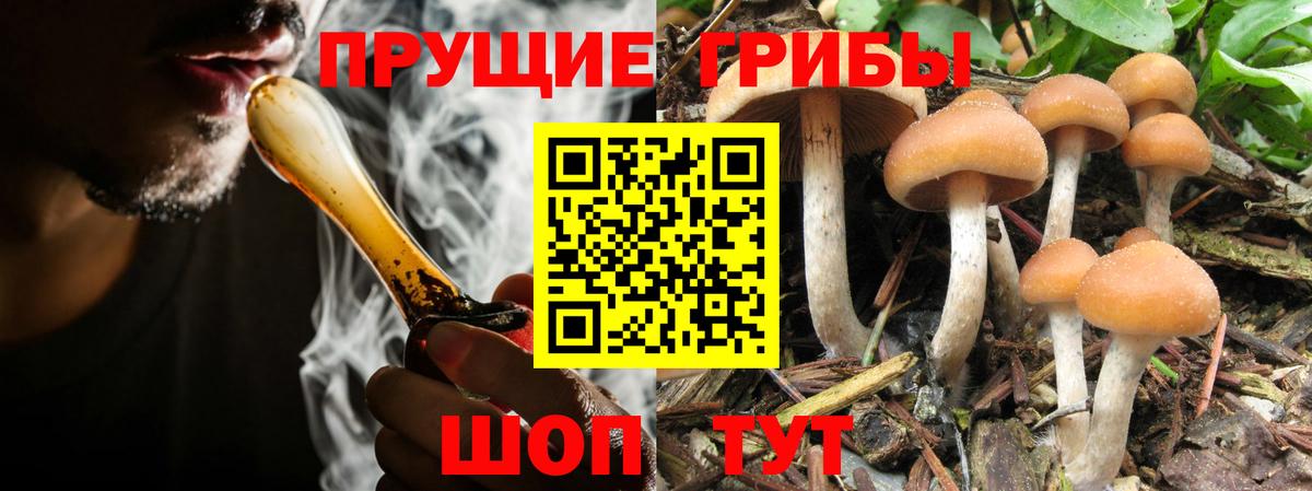 Псилоцибиновые грибы ЛСД  Галлюциногенные грибы Psilocybine cubensis  Вход с VPN  Озёры 