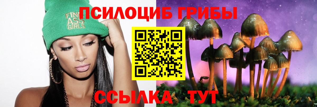 Псилоцибиновые грибы Cubensis Озёры